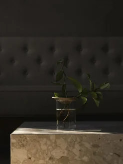 Audo Copenhagen Cresco Propagation Vases, Set of 2 Online