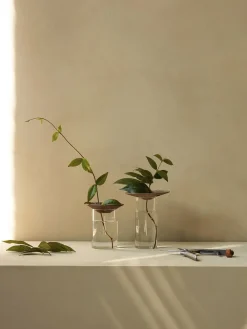 Audo Copenhagen Cresco Propagation Vases, Set of 2 Online