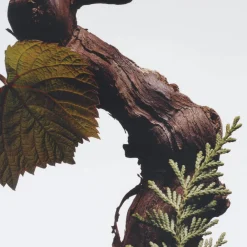 Jo Malone London Cypres & Grapevine Cologne Intense No color Clearance