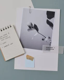 Daily Defence Antiperspirant Roll-on Deodorant><noscript><img width=