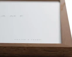 ><noscript><img width=