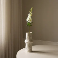 Botané Delphinium Flower