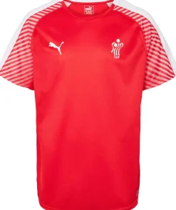 Puma DHF Prome T-shirt