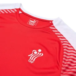 Puma DHF Prome T-shirt