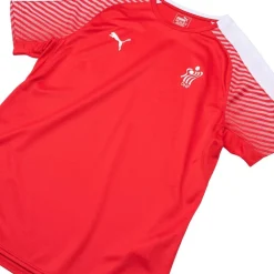 Puma DHF Prome T-shirt