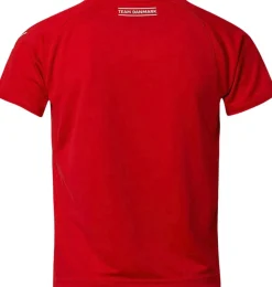 Børn Puma DHF Trøje