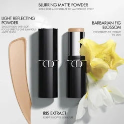 DIOR Forever Skin Perfect Multi-Use Foundation Stick Best