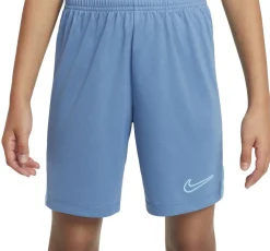 Børn Nike Dri-FIT Academy 23 shorts