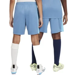 Børn Nike Dri-FIT Academy 23 shorts