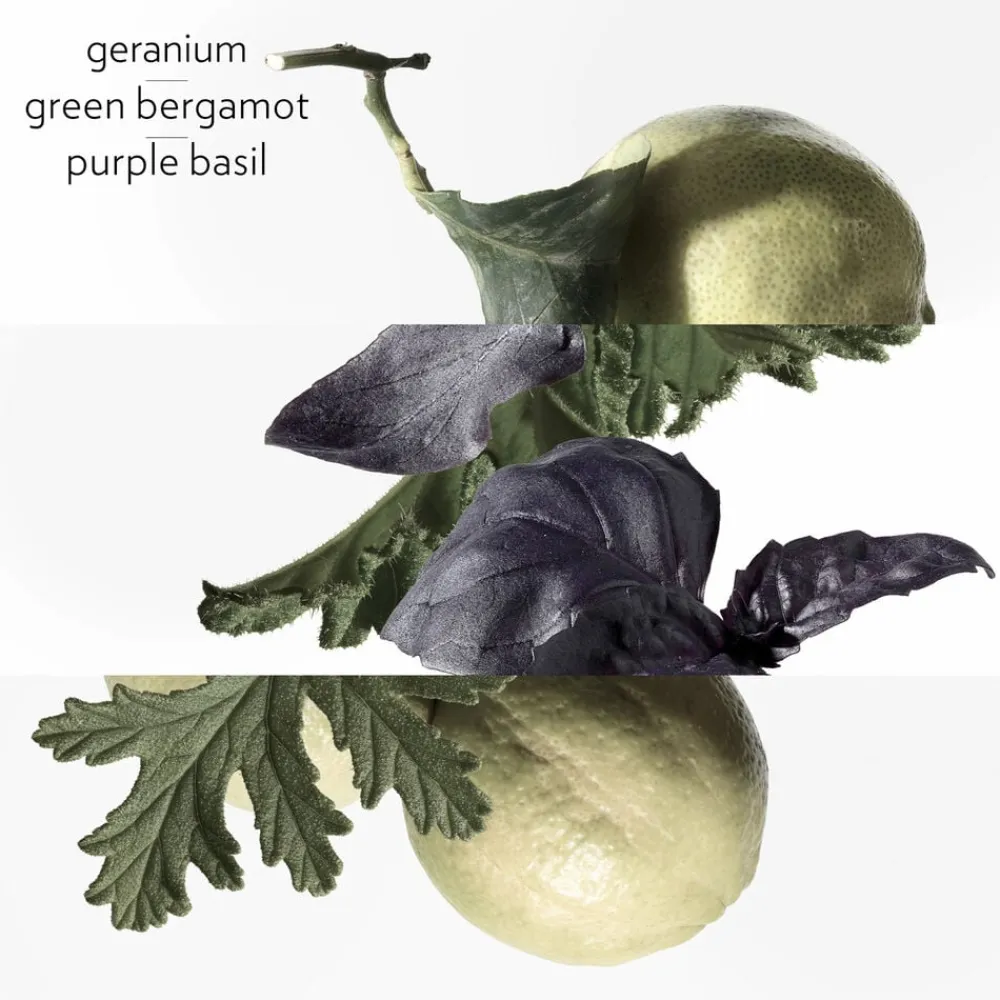 **EAU DE BASILIC POURPRE NATURAL SP>HERMÈS Clearance