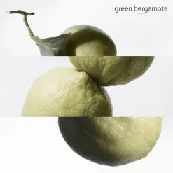 **EAU DE BASILIC POURPRE NATURAL SP><noscript><img width=