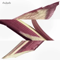 HERMÈS Eau De Rhubarbe Écarlate Eau de Cologne 200 ml