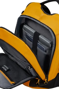 Ecodiver><noscript><img width=