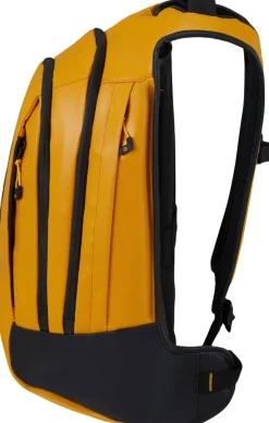 Ecodiver><noscript><img width=