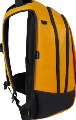 Ecodiver><noscript><img width=