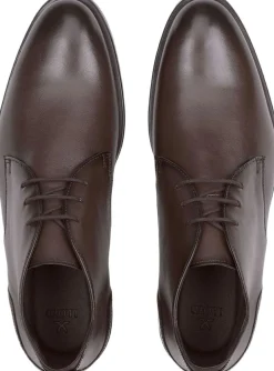 Lloyd EEZY 325 Brown New