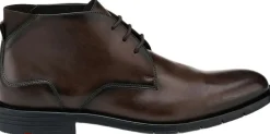 Lloyd EEZY 325 Brown New