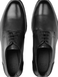 Lloyd EEZY 110W Black Discount