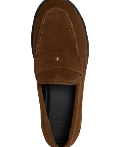 Dame BOSS Eleri_Mocc_SDBB