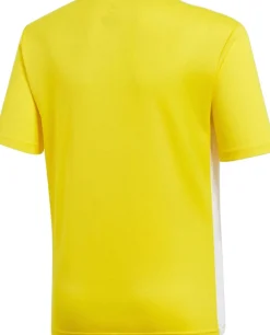 Børn adidas Entrada 18 Trænings T-shirt