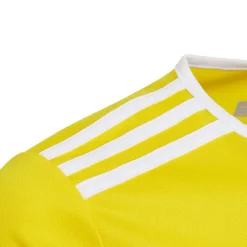 Børn adidas Entrada 18 Trænings T-shirt