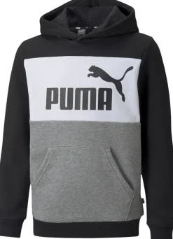 Puma Essentials+ Colourblock hættetrøje Sort