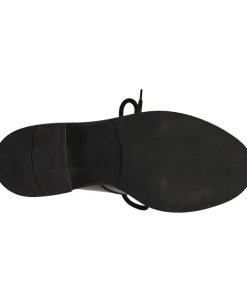 Evelyn><noscript><img width=