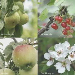 Skandinavisk FJORD Scent Diffuser 100ml Discount