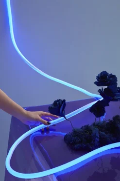 FLEX TUBE, 5 M, BLUE>Studio About