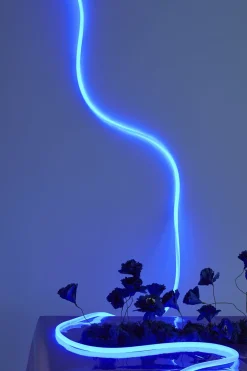 FLEX TUBE, 5 M, BLUE><noscript><img width=