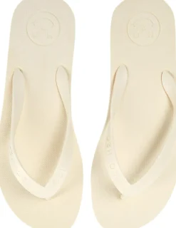 Flip Flop>H2O Online