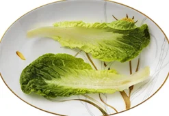 Flora 26 cm. fad - Mælkebøtte>Royal Copenhagen Discount