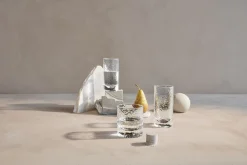 Holmegaard Forma Drinksglas klar 30 cl 2 stk. Clearance