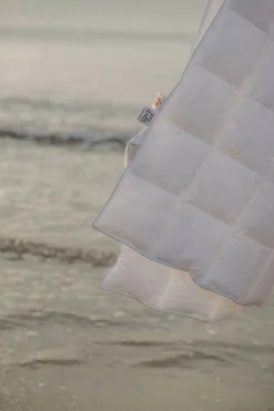 Spring Dyne><noscript><img width=