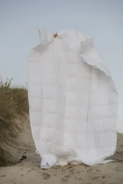 Spring Dyne><noscript><img width=