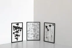 Frame ramme A5>Moebe Online