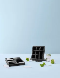 RIG TIG FREEZE-IT isterningbakke med låg H 5 cm black