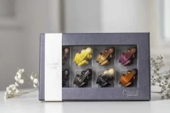 Xocolatl Frog parade Online