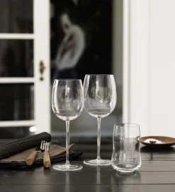 Holmegaard Future 6 stk. Vandglas klar 25 cl