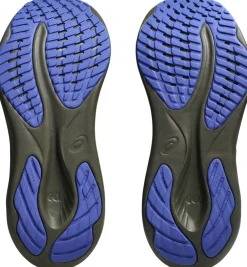 Asics Gel-Pulse 15 Gore-Tex Løbesko Sort Discount