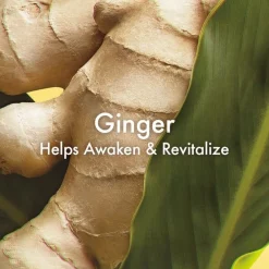 Origins Ginger Essence Sensuous Fragrance Skin Scent
