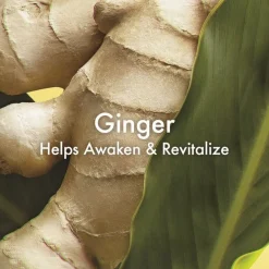 Origins Ginger Essence Sensuous Fragrance Skin Scent