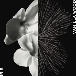 Givenchy Gentleman Eau de parfum