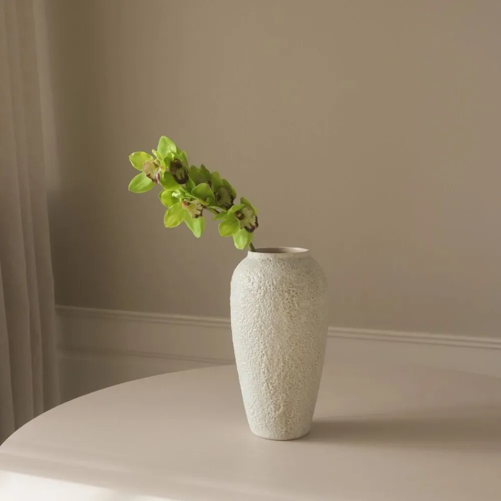 Botané Green Cymbidium Orchid Flower