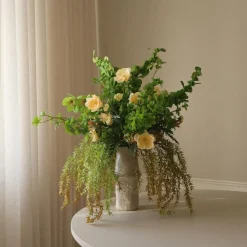 Botané Green Cymbidium Orchid Flower