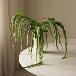 Botané Green Three Forks Amaranthus Flower