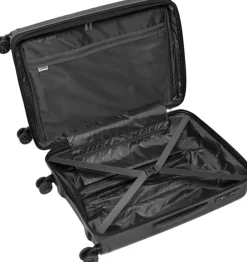 Halo><noscript><img width=