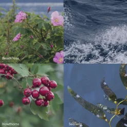 Skandinavisk HAV Shampoo 500ml New