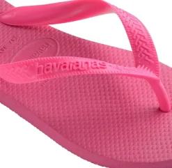 Hav. Top><noscript><img width=