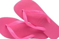 Hav. Top><noscript><img width=